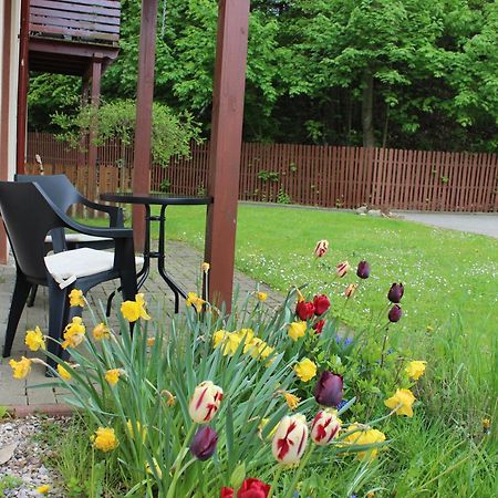 Apartament Kolorowy Pod Sniezka Karpacz Dış mekan fotoğraf